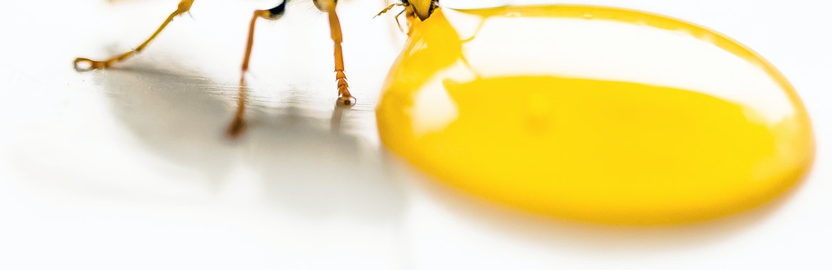A J Pest Control banner